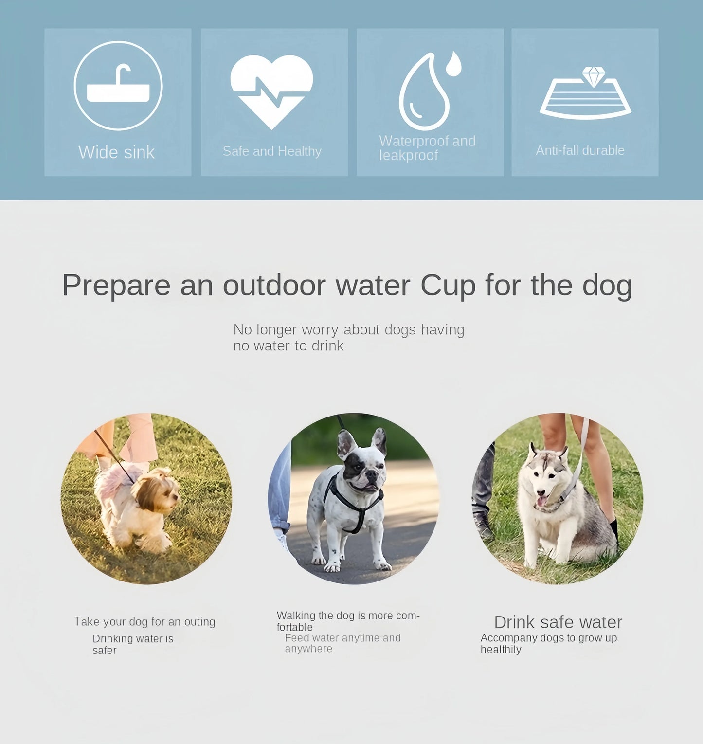 Pattes & Compagnie gourde tupperware pour chien