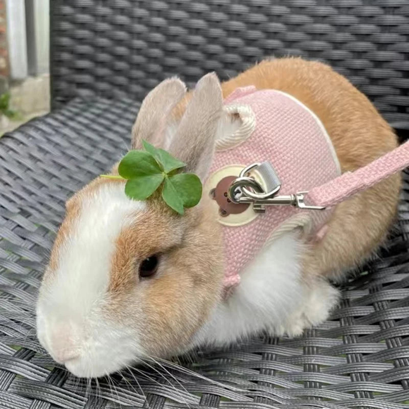 Pattes & compagnie harnais pour chats et lapin