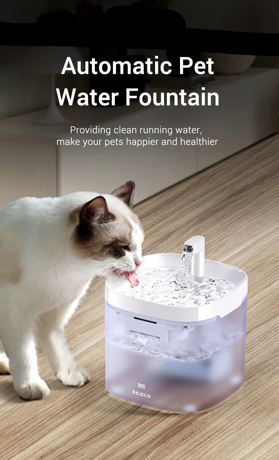 Pattes & Compagnie fontaine à eau pour chat