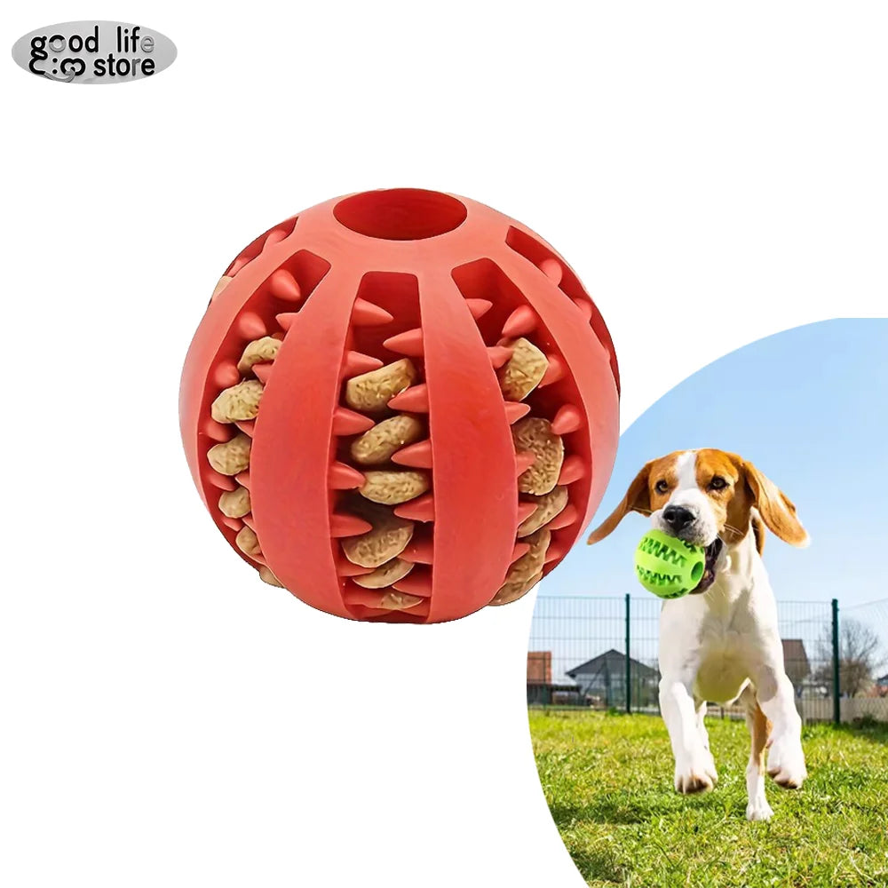 Pattes & compagnie balle interactive pour chien