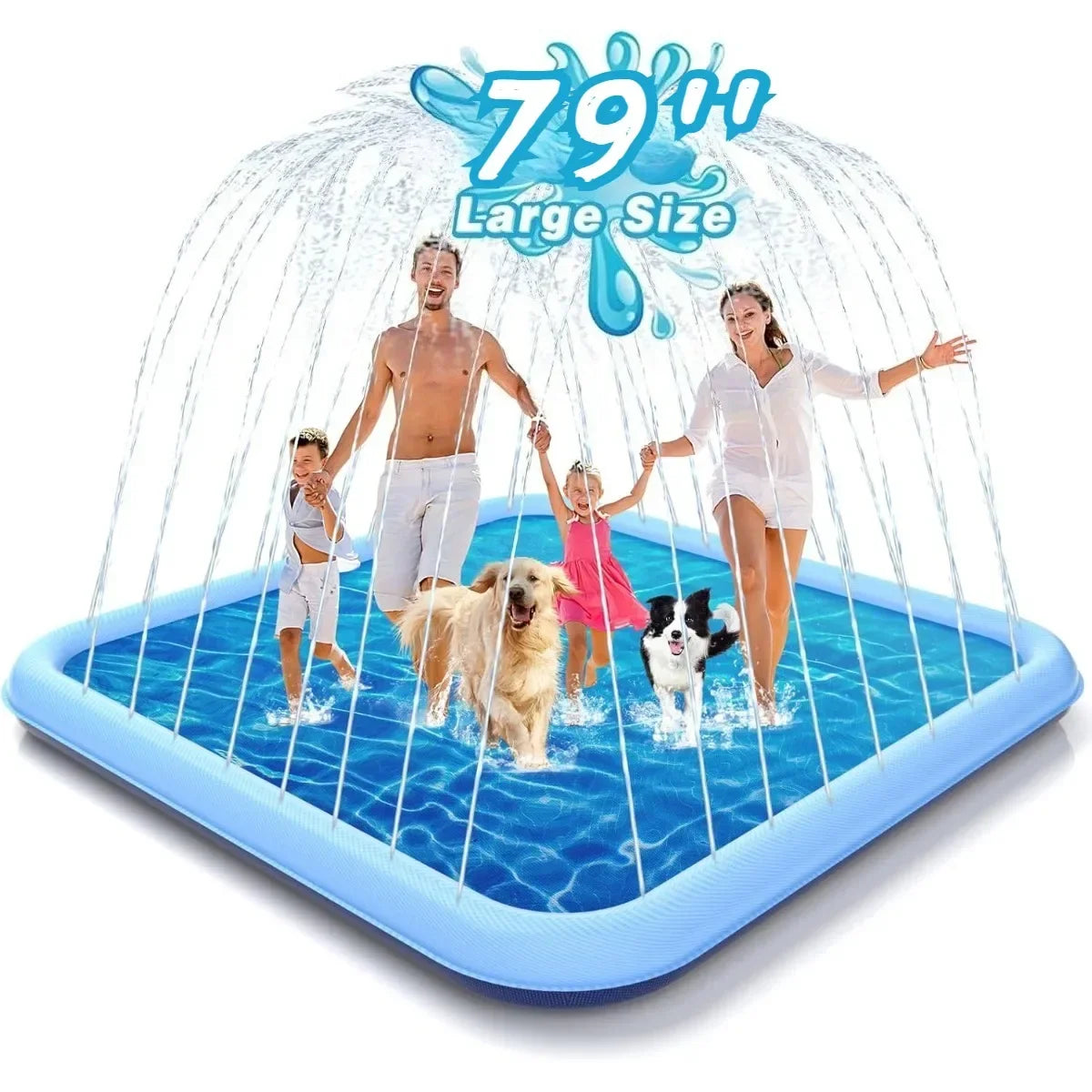Pattes & compagnie pataugeoire pour chien