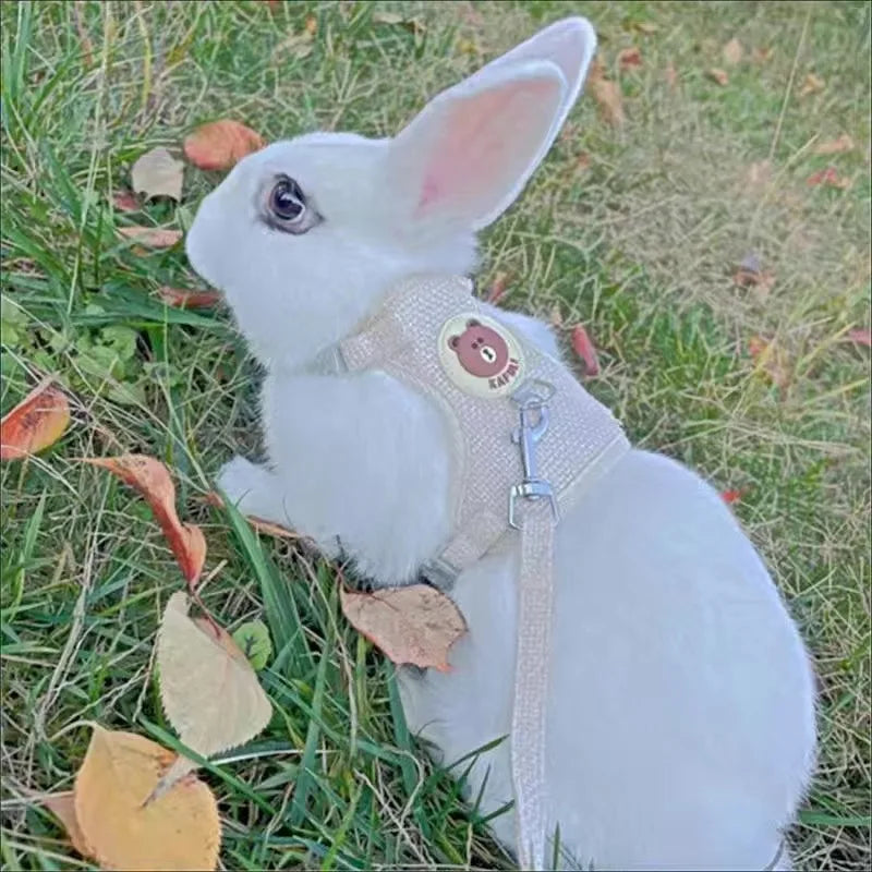 Pattes & compagnie harnais pour chats et lapin