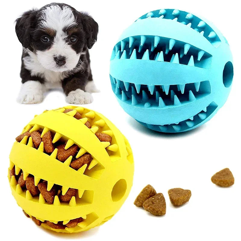 Pattes & compagnie balle interactive pour chien