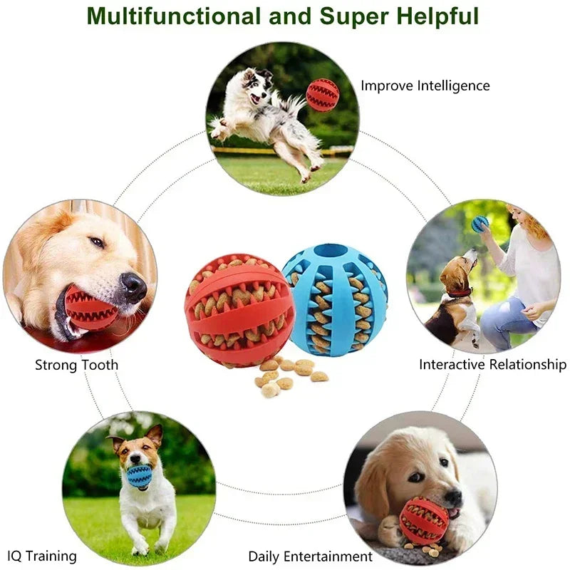 Pattes & compagnie balle interactive pour chien