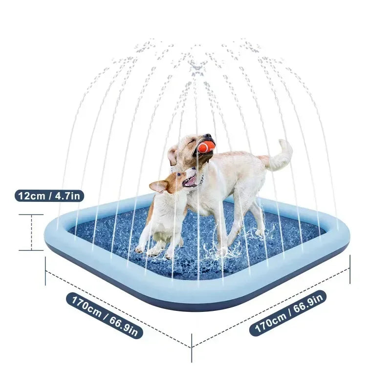 Pattes & compagnie pataugeoire pour chien