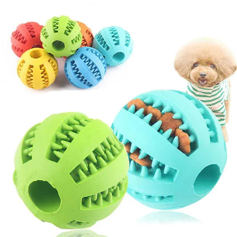 Pattes & compagnie balle interactive pour chien