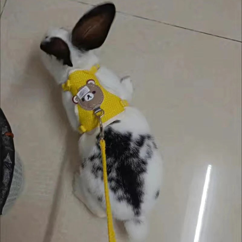 Pattes & compagnie harnais pour chats et lapin
