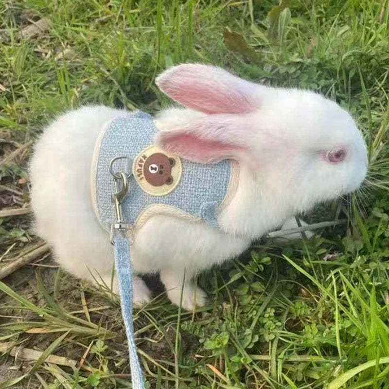 Pattes & compagnie harnais pour chats et lapin