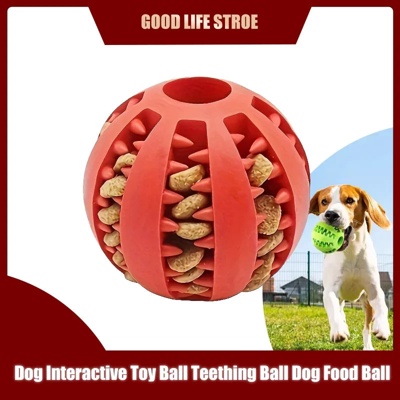 Pattes & compagnie balle interactive pour chien