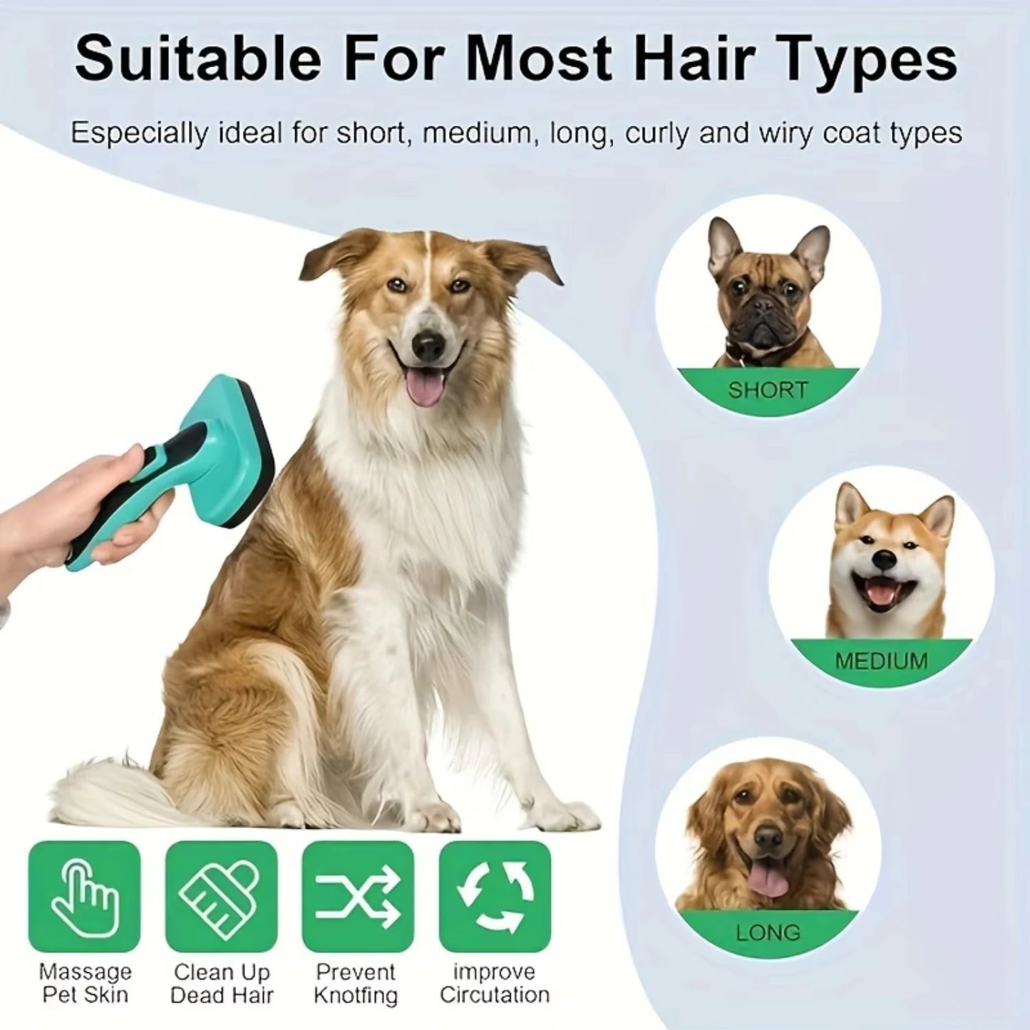 pattes & compagnie brosse a poile pour chat et chien