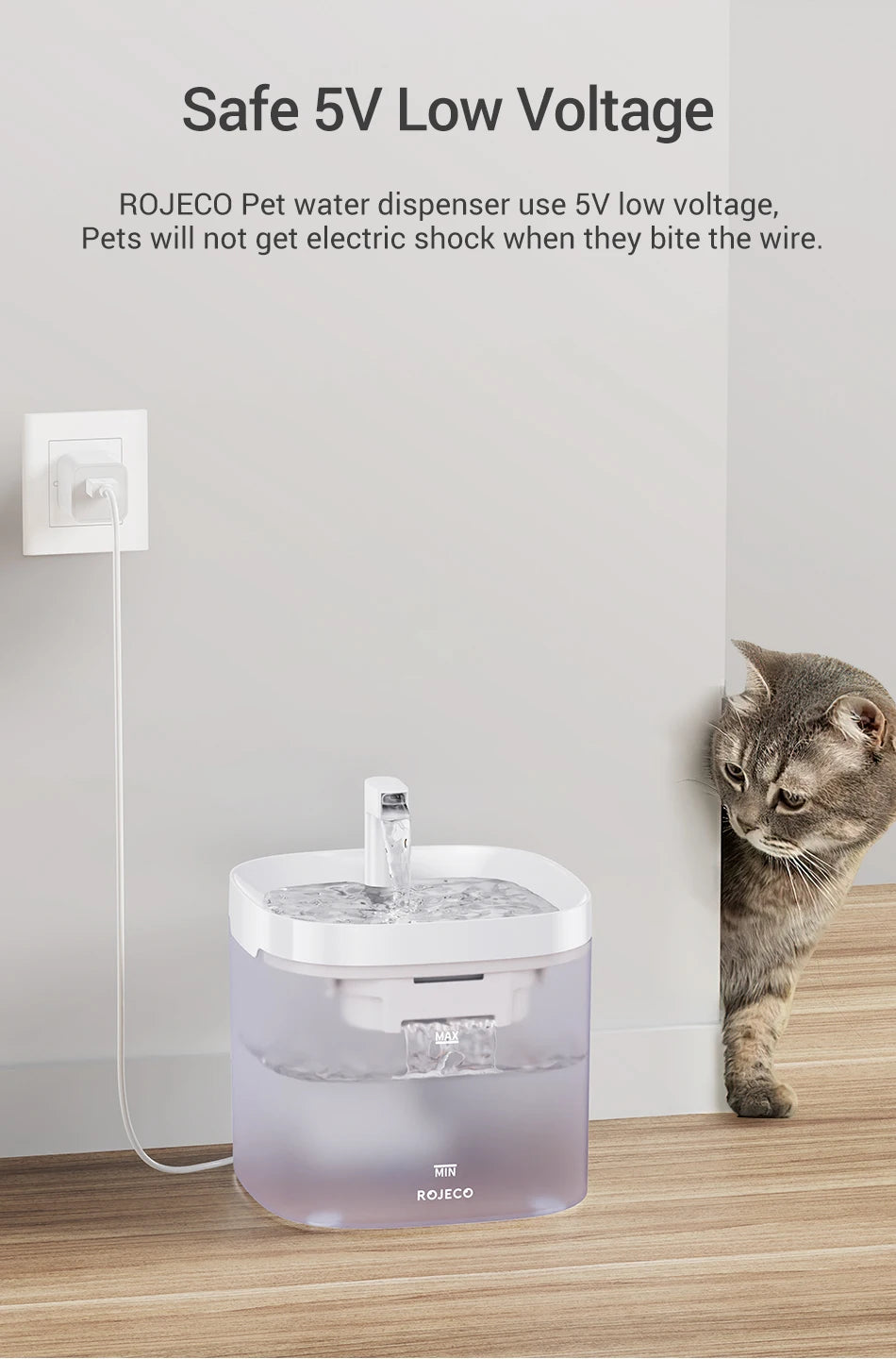 Pattes & Compagnie fontaine à eau pour chat