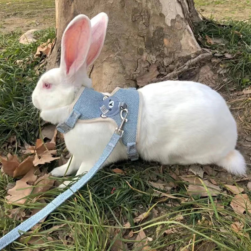 Pattes & compagnie harnais pour chats et lapin