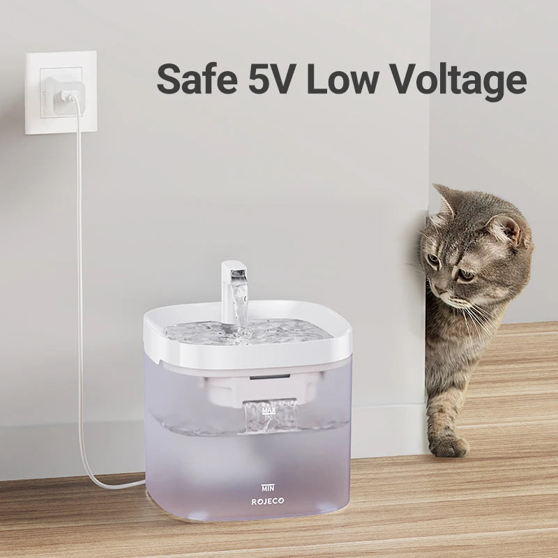 Pattes & Compagnie fontaine à eau pour chat