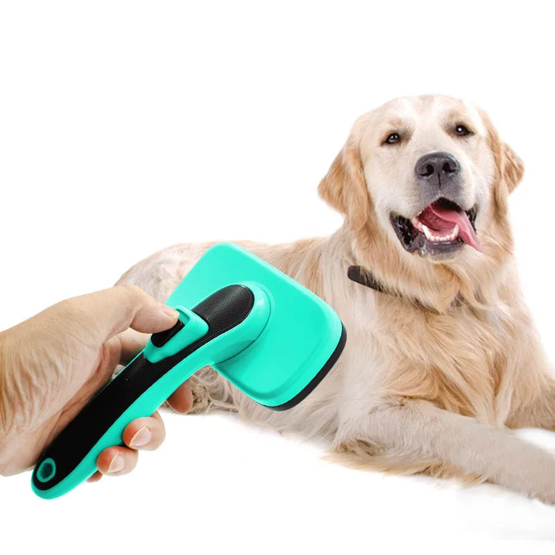 pattes & compagnie brosse a poile pour chat et chien