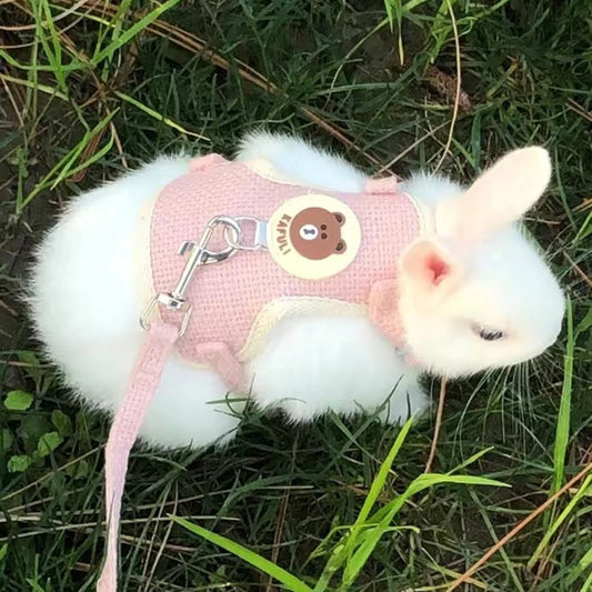 Pattes & compagnie harnais pour chats et lapin
