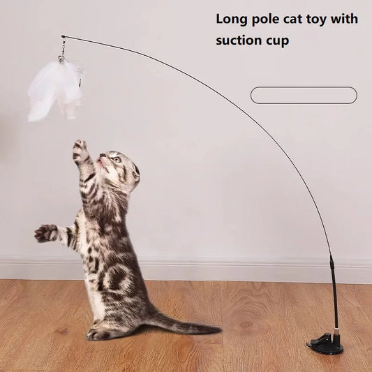 Pattes & compagnie plume pour chats