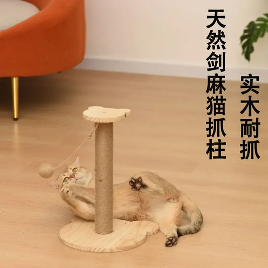 petit grattoire à chat