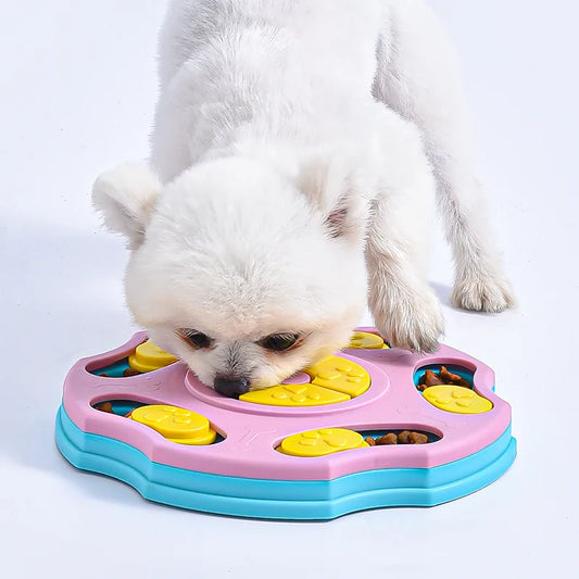 Pattes & compagnie puzzle à friandises pour chat et chien