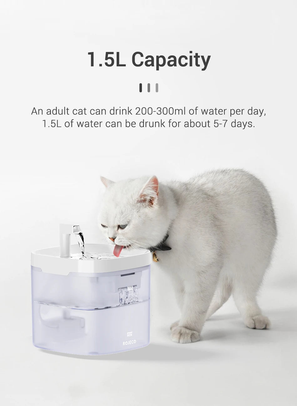 Pattes & Compagnie fontaine à eau pour chat